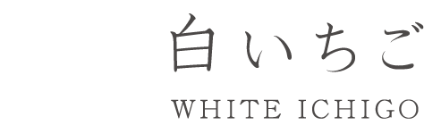 WHITE ICHIGO｜白いちご